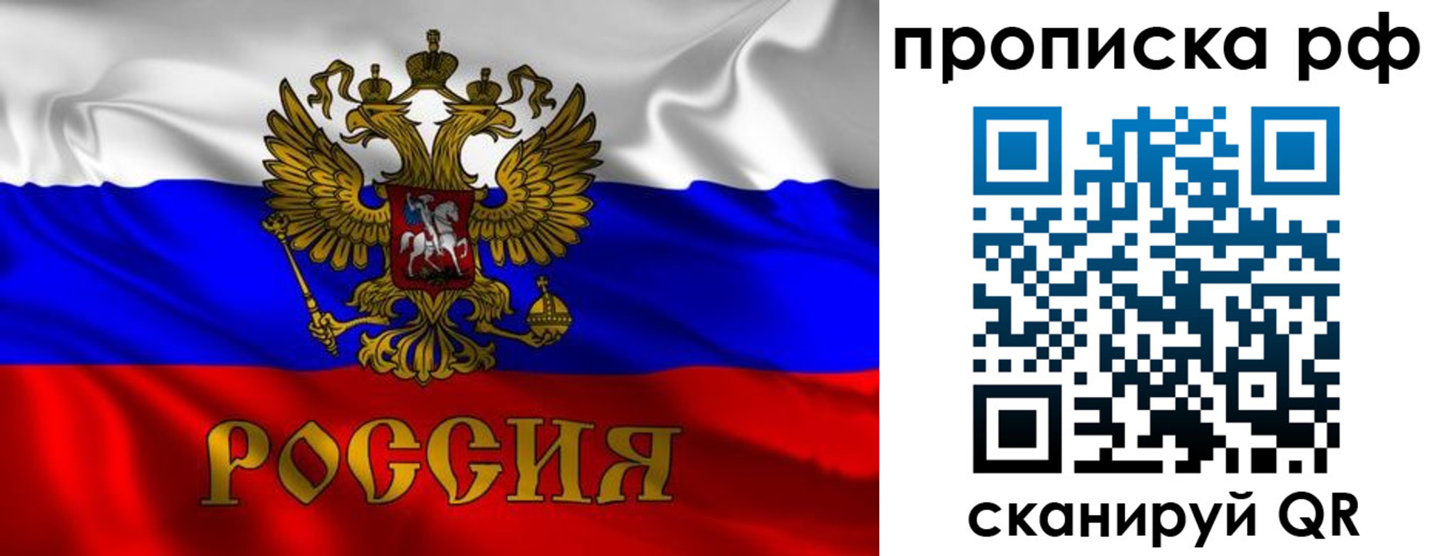 прописка 2025 в Сланцах
